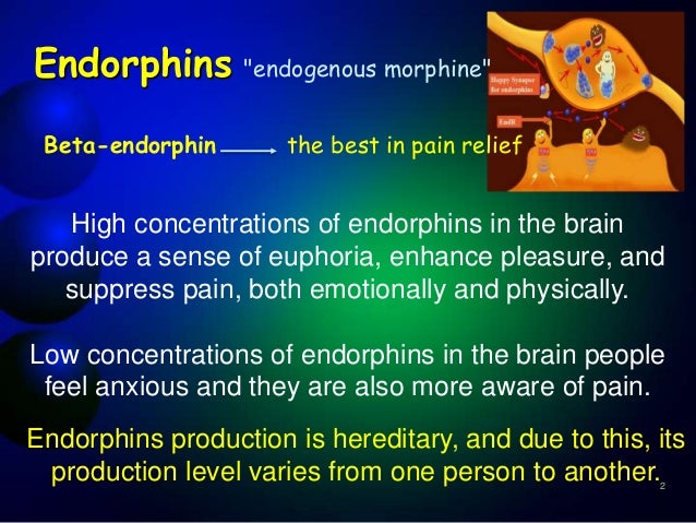 Endorphin   -  5